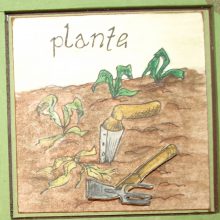 plante